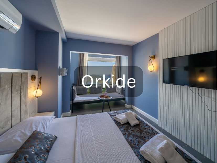 Orkide