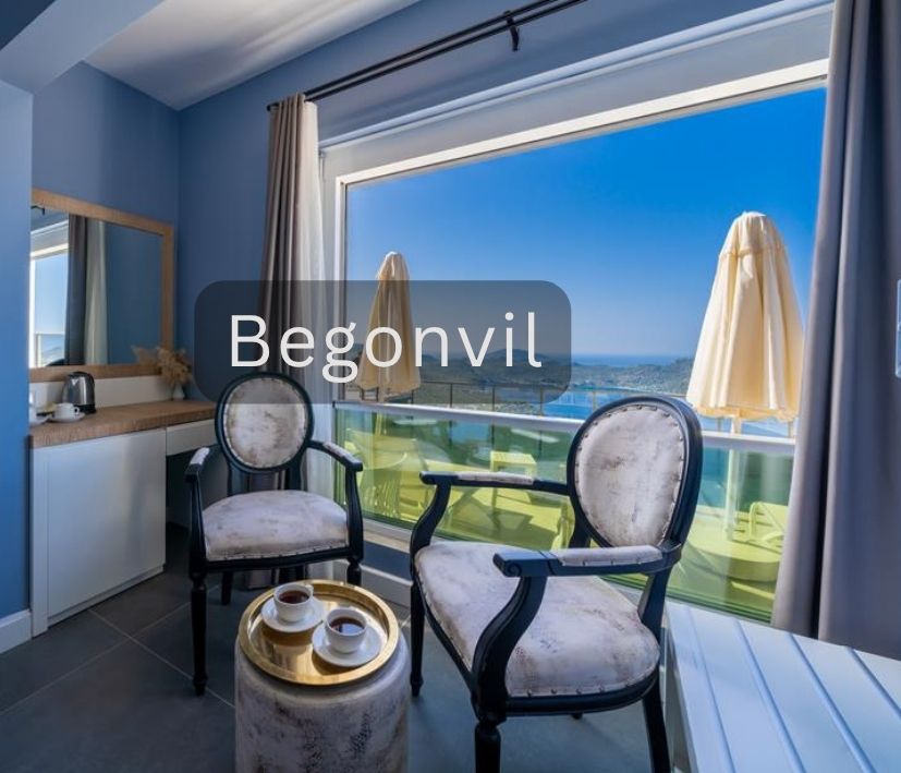Begonvil