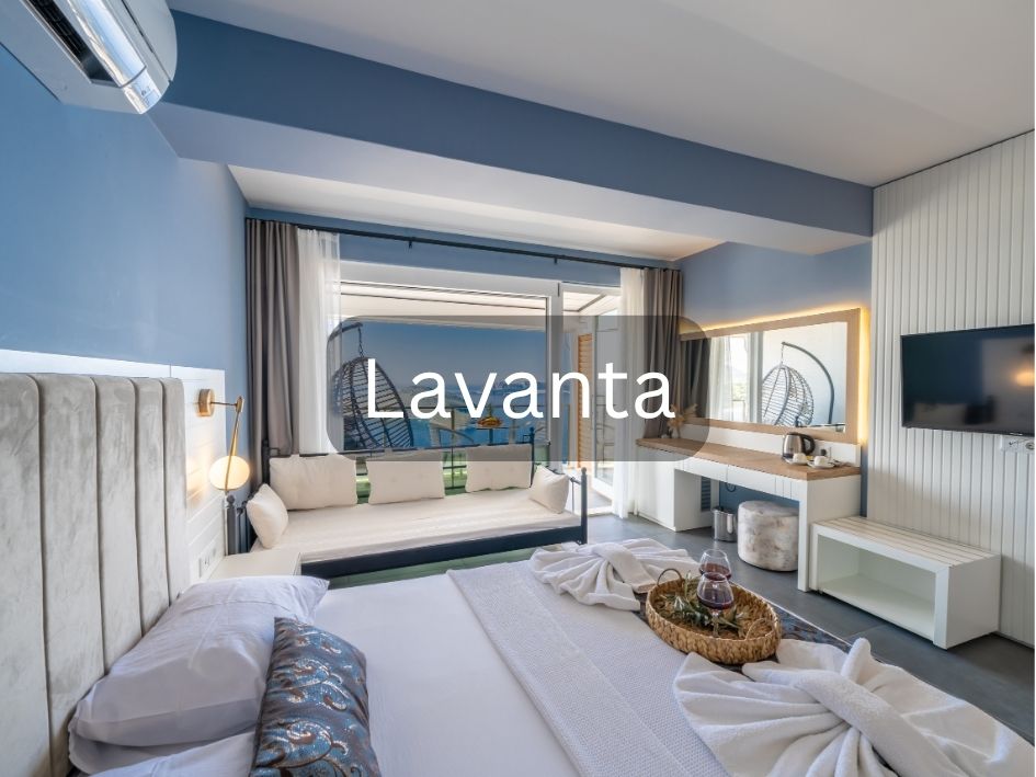 Lavanta