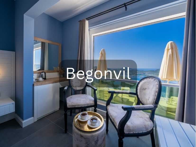 Begonvil